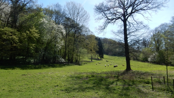 bij le Château des Cortils